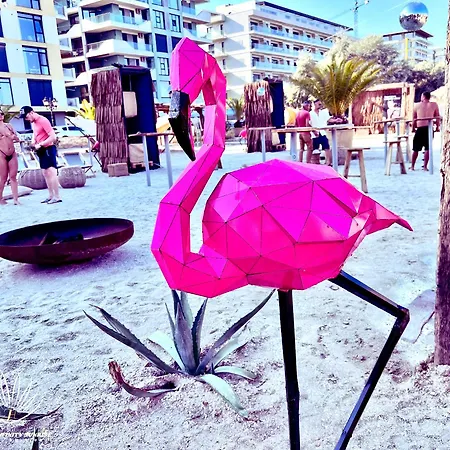 Heaven Infinity Sunrise Pool & 아파트 Năvodari