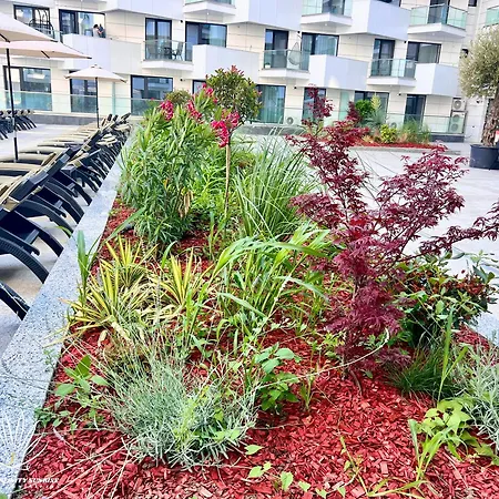 Heaven Infinity Sunrise Pool & Năvodari